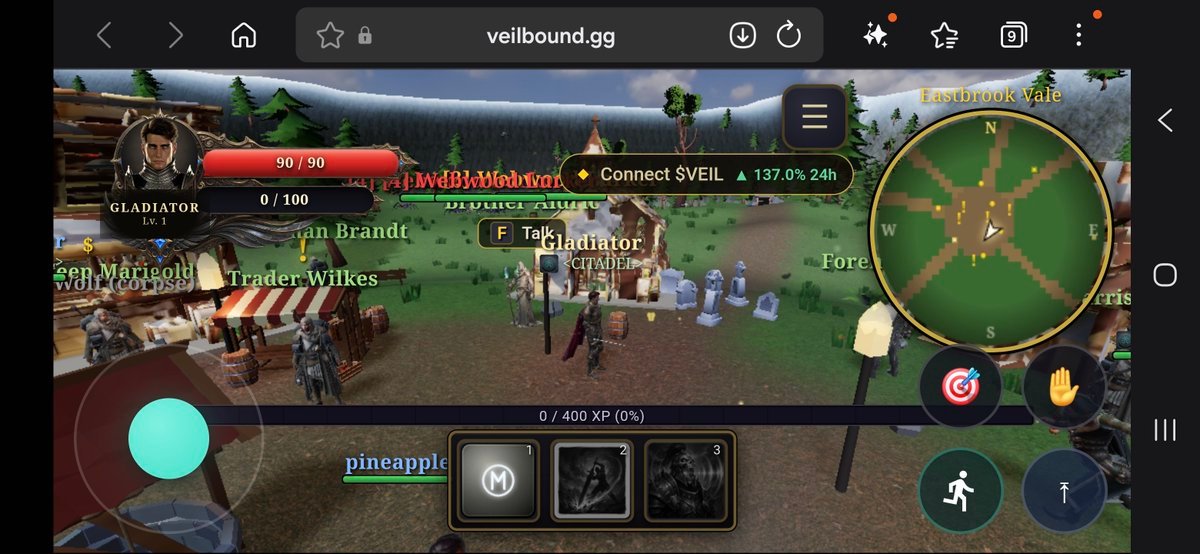 Veilbound